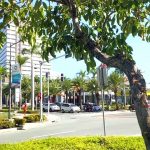 Alabang, Muntinlupa’s Best Tourist Attractions